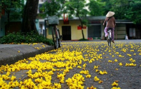 Du lịch Huế nên đi vào thời gian nào?